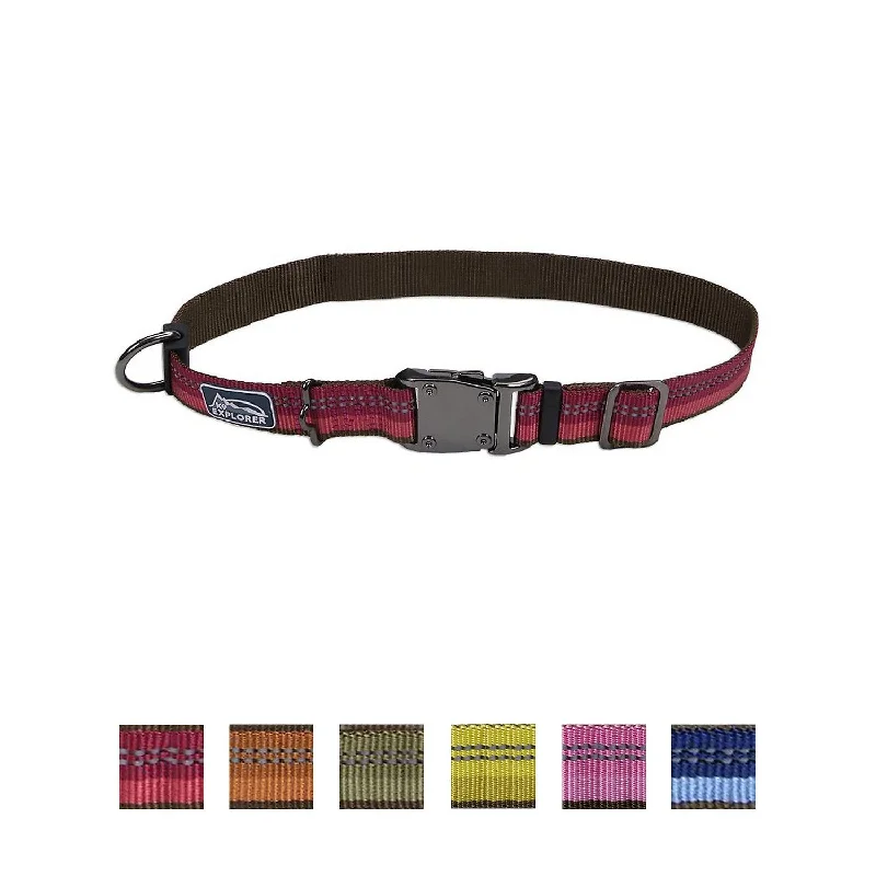 Coastal K9 Explorer Reflective Dog Collar