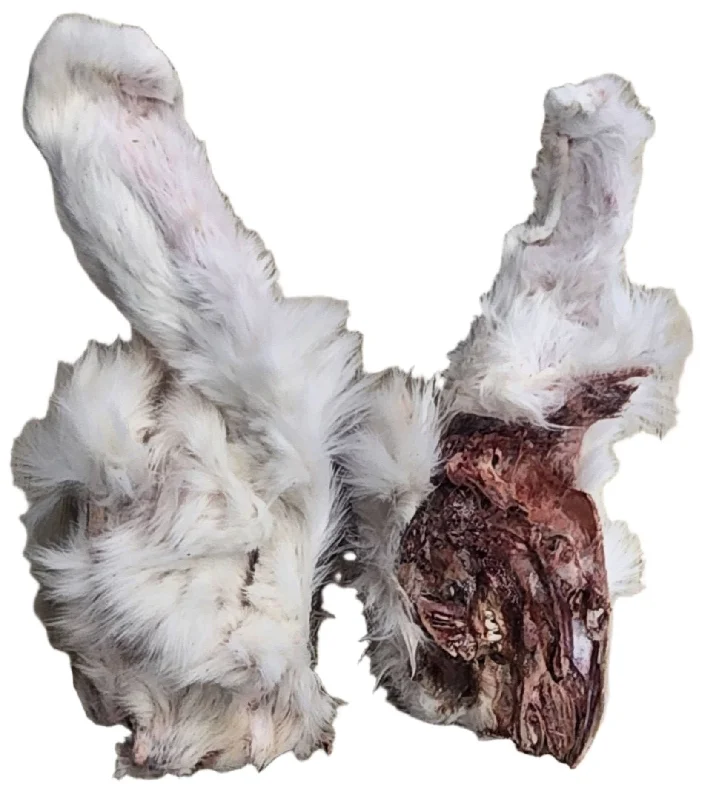 Freeze Dried Rabbit Heads HALVES (With Ears)