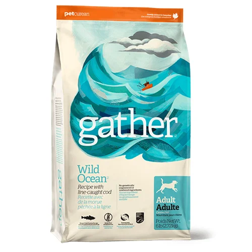 gather WILD OCEAN Recipe Dry Dog Food