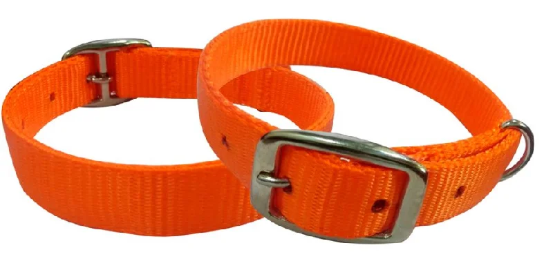 Orange nylon dog collar.