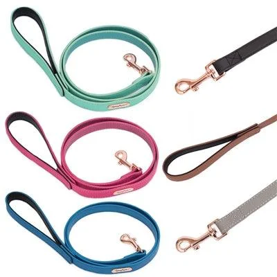 ZippyPaws Vivid Collection Collars and Leashes