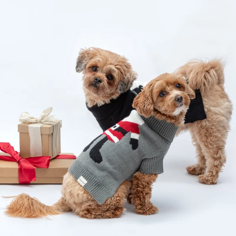 Cozy Christmas Pet Sweater