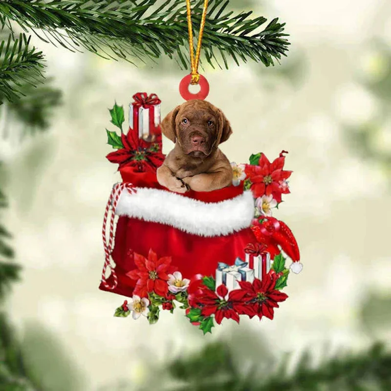 Chesapeake Bay Retriever In Gift Bag Christmas Ornament GB044