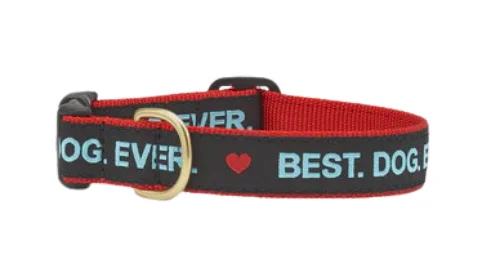 Best Dog Ever Dog Collar