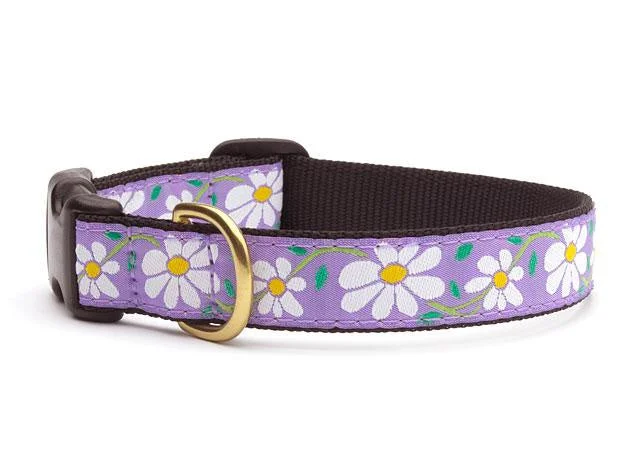 Daisy Dog Collar