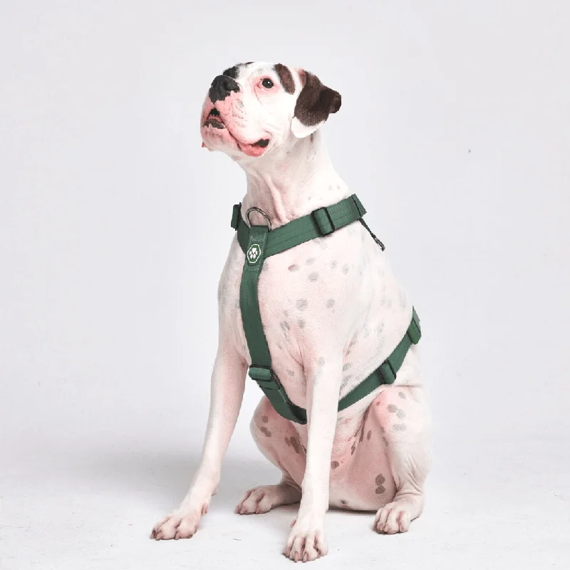 Comfort Control No-Pull Dog Harness - Green