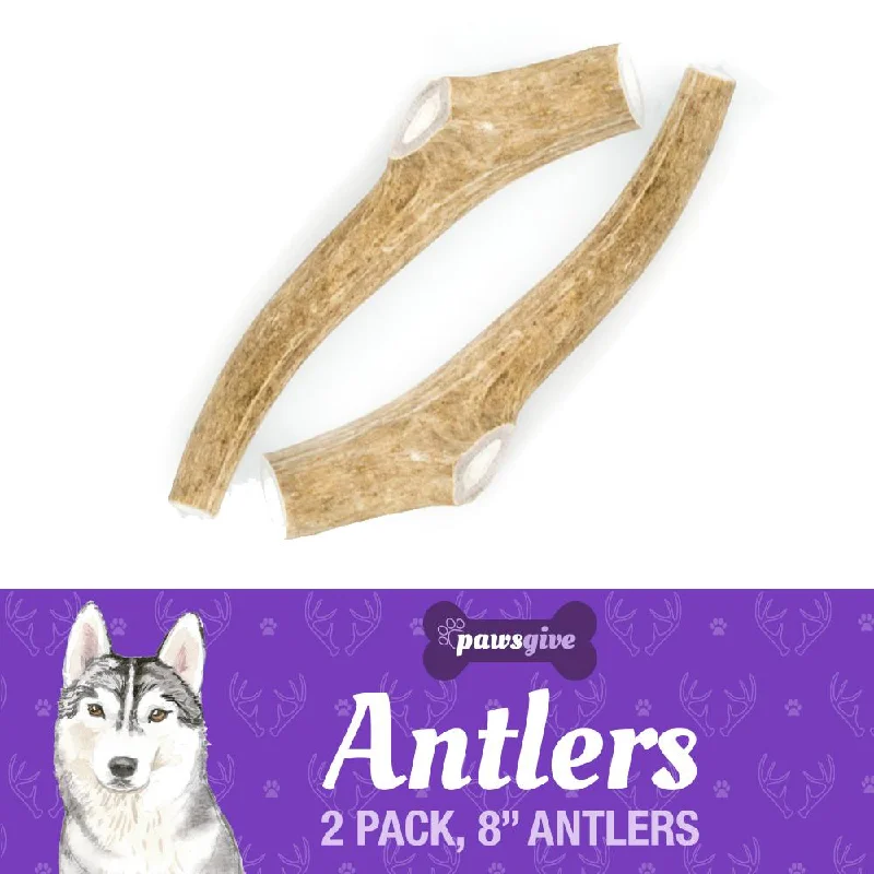 Grade "A" Naturally Shed Antler Chews for Dogs - 8" Large Antlers, 2 Pack