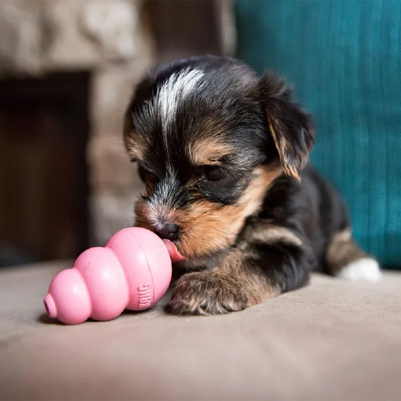 Kong Puppy | Multiple Sizes