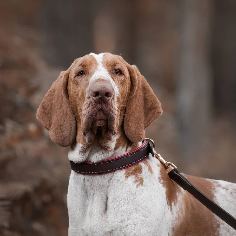 Italian Padded Leather Dog Lead in Brown & Red by Lords & Labradors