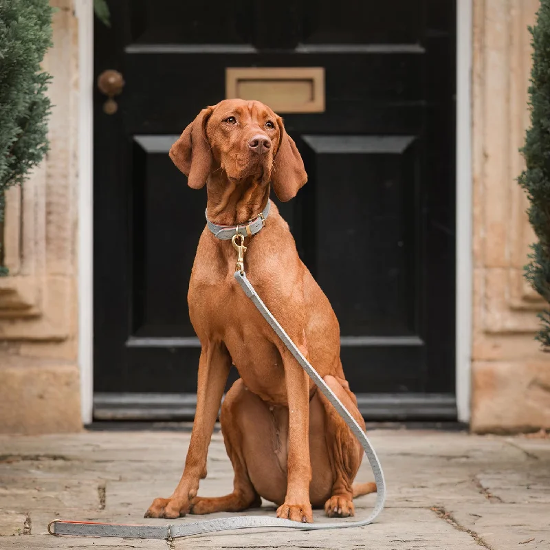 Ostrich Leather Dog Lead in Grey & Orange by Lords & Labradors