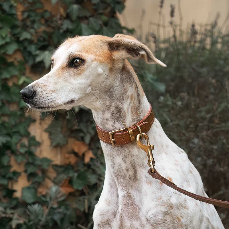 Ostrich Leather Dog Lead in Tan & Orange by Lords & Labradors