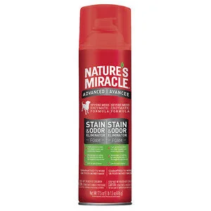 Nature's Miracle Foam Stain & Odor Remover 17.5fl oz