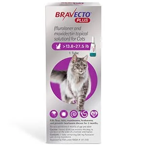 Rx BRAVECTO Plus Topical, Cat