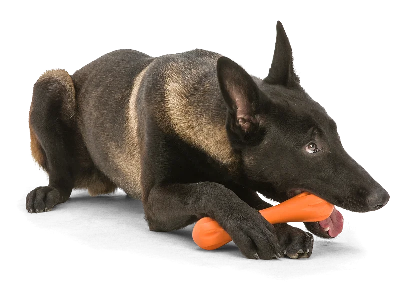 West Paw Hurley Dog Toy